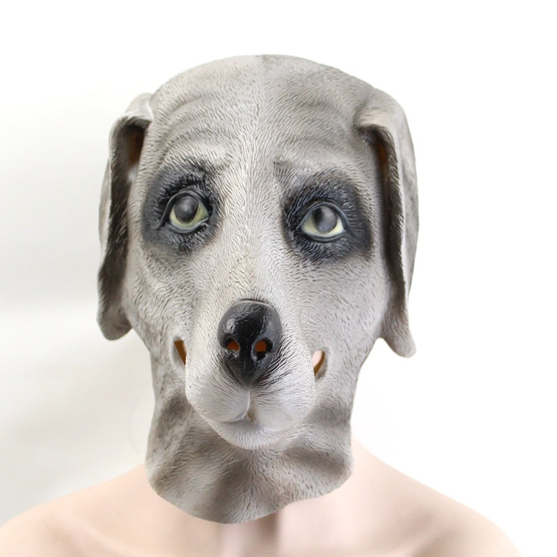 Dog Head