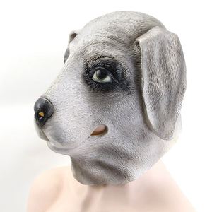 Dog Head