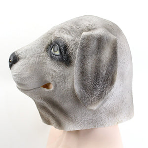 Dog Head