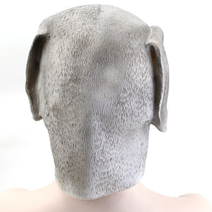 Dog Head