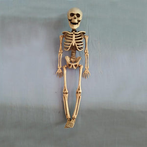 Skeleton